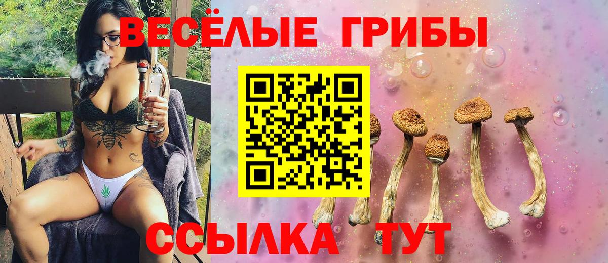 Галлюциногенные грибы ЛСД  где продают   Верхняя Пышма  Вход с VPN  Галлюциногенные грибы MAGIC MUSHROOMS 